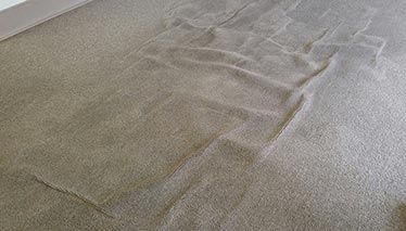 What Caused my carpet to buckle blog