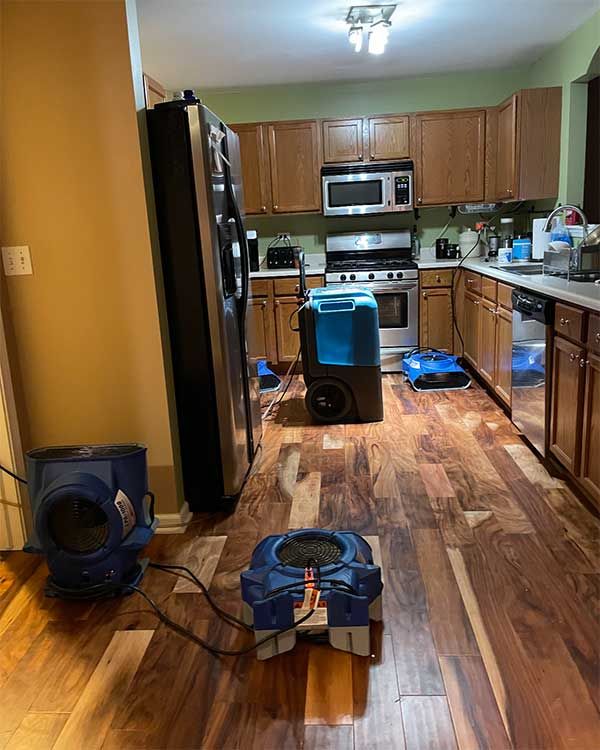 Water Damage Restoration in Royston GA