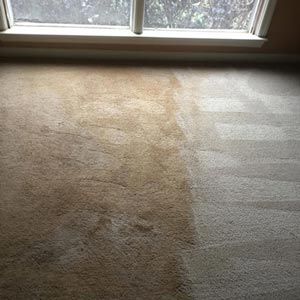 Before and after carpet cleaning 2