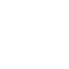 carpet cleaning icon