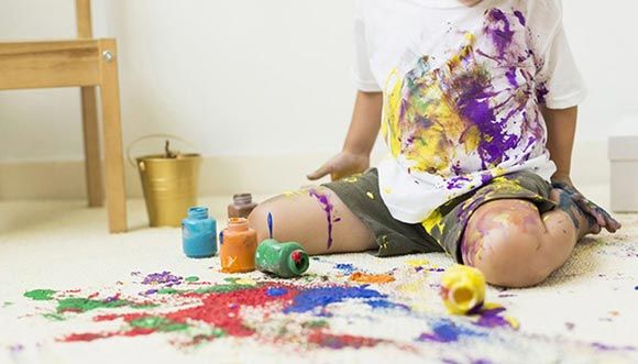 Stain Pet Odor Removal in Stone Mountain GA