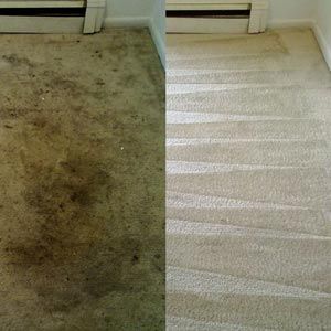 Before and after carpet cleaning 