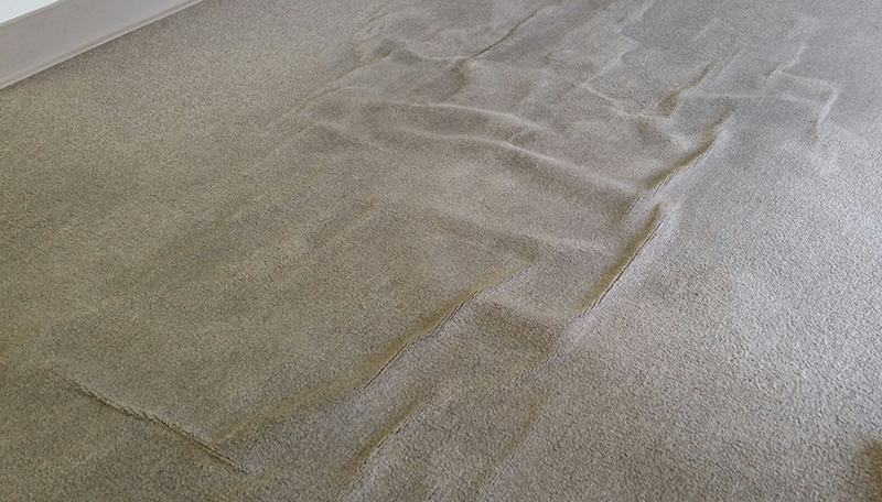 What caused my carpets to buckle and wrinkle? | Certified Clean Care