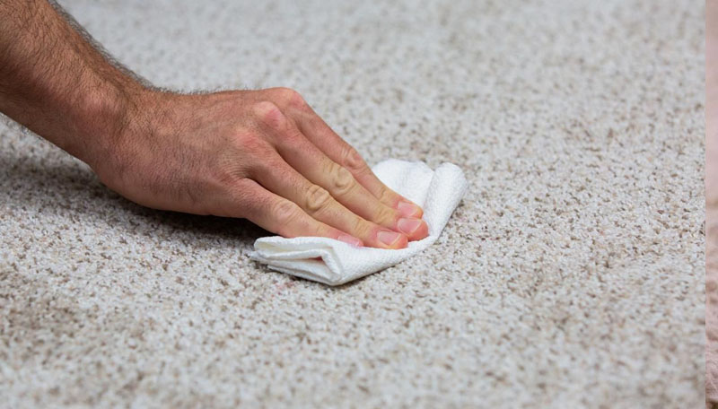 4. Step 1: Blotting and Absorbing the Stain: Quick Actions to Prevent Further Damage 